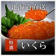 北海道直送 特選いくら